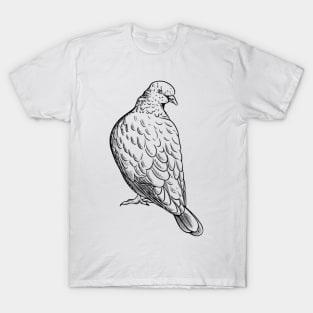 Pigeon T-Shirt